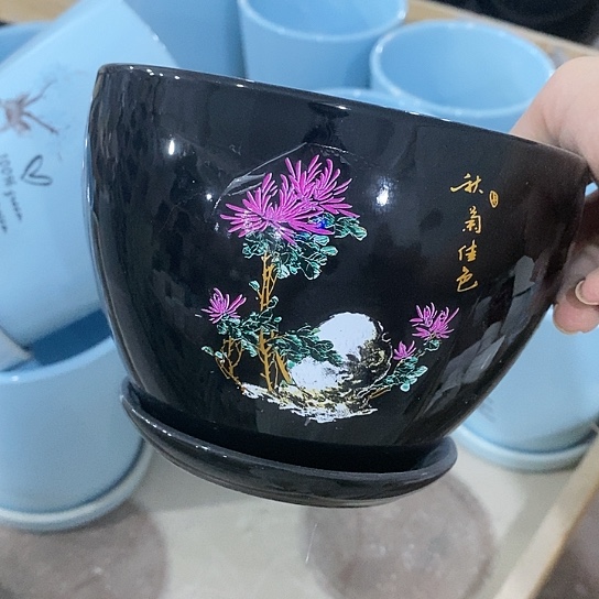 红陶20CM（含）-50CM（不含）