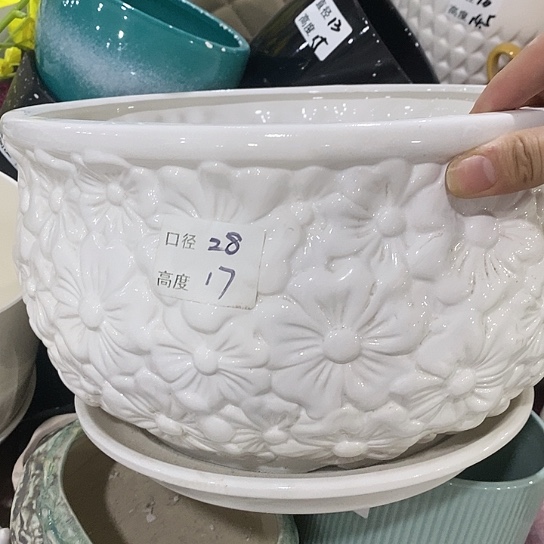 红陶20CM（含）-50CM（不含）