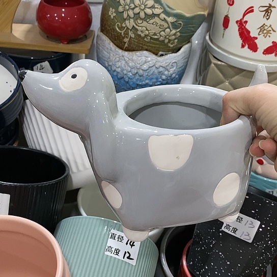 红陶20CM（含）-50CM（不含）