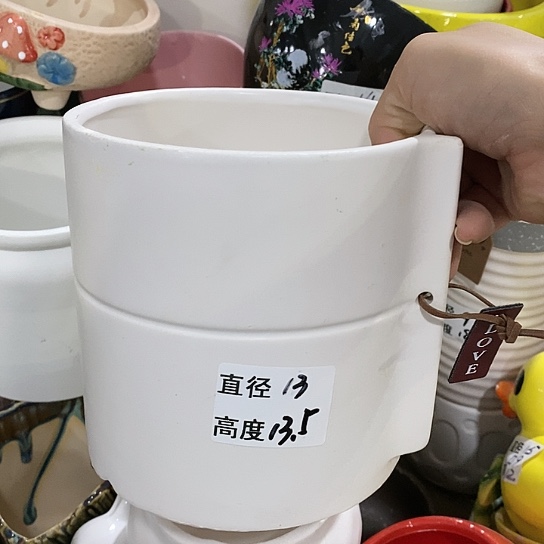 红陶20CM（含）-50CM（不含）