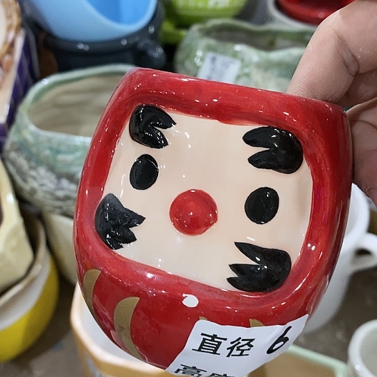 红陶20CM（含）-50CM（不含）