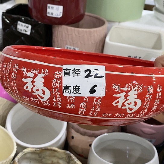 红陶20CM（含）-50CM（不含）