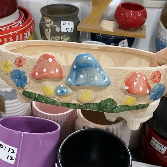 红陶20CM（含）-50CM（不含）