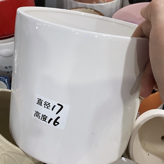 红陶20CM（含）-50CM（不含）