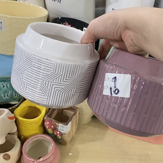 红陶20CM（含）-50CM（不含）
