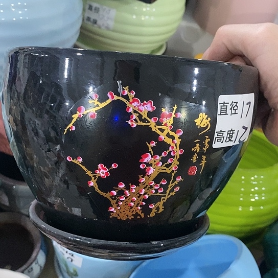 红陶20CM（含）-50CM（不含）