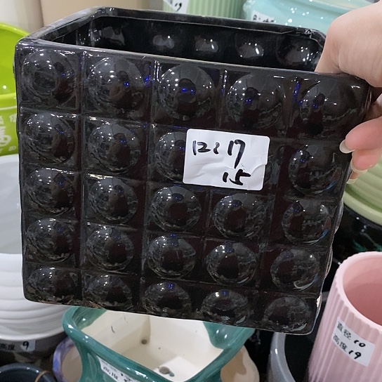红陶20CM（含）-50CM（不含）