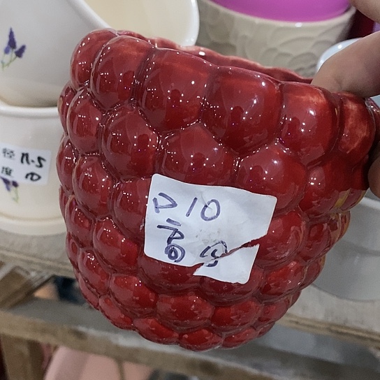 红陶20CM（含）-50CM（不含）