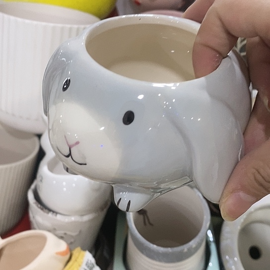 红陶20CM（含）-50CM（不含）