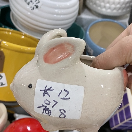 红陶20CM（含）-50CM（不含）
