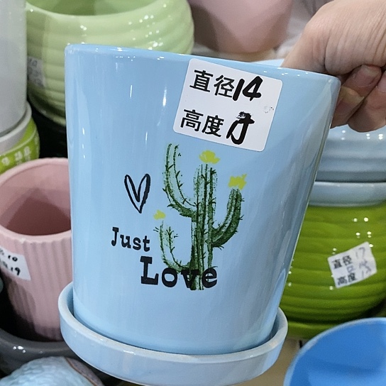 红陶20CM（含）-50CM（不含）