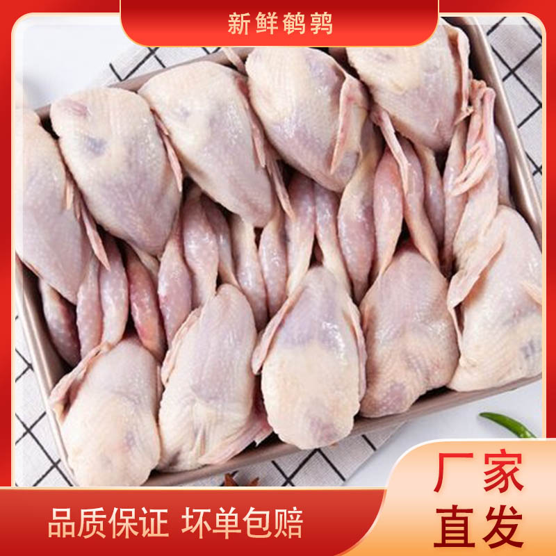 大号新鲜冷冻鹌鹑白条炖汤油炸烧烤生骨肉生鲜鹌鹑