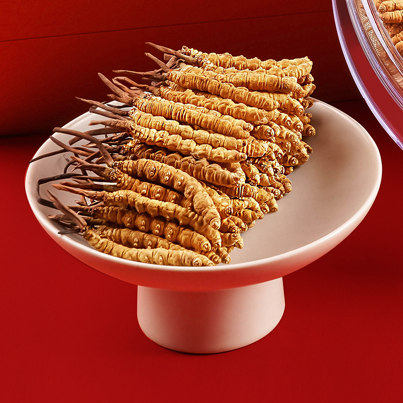 【 虫草弟2294】2025新冬虫夏草50根-100根虫草正品送礼自用