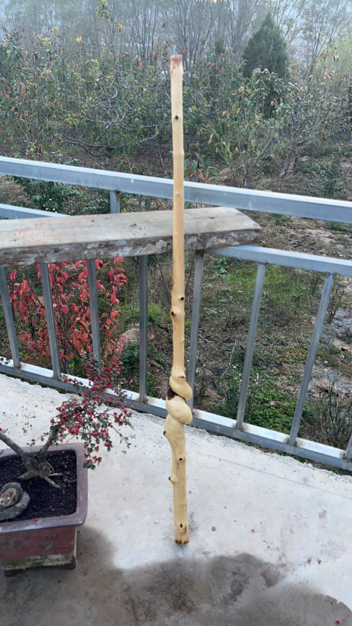 登山杖，武术棍，枪杆，车载棍，手杖
