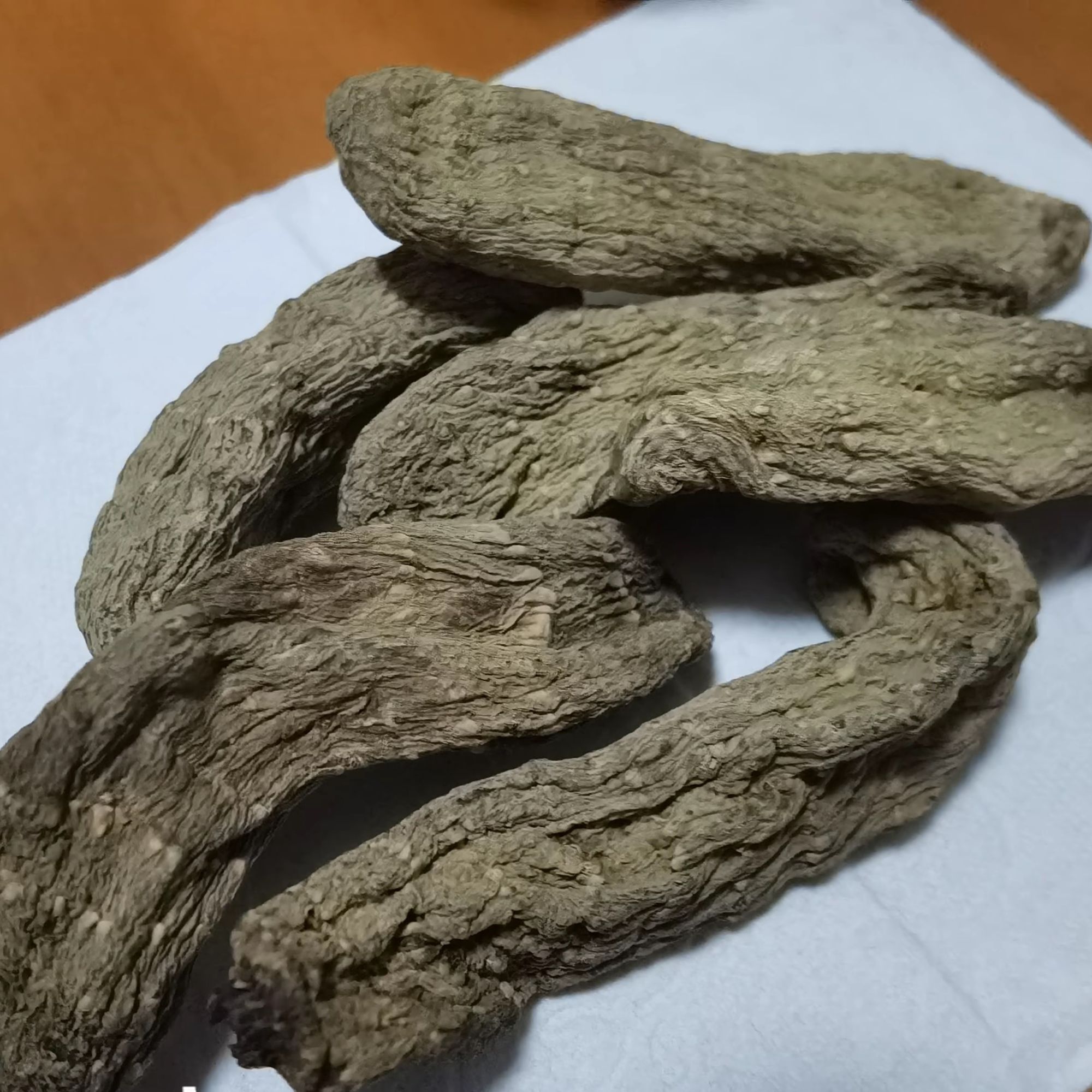 【涛涛】乌天麻 深山农家山货