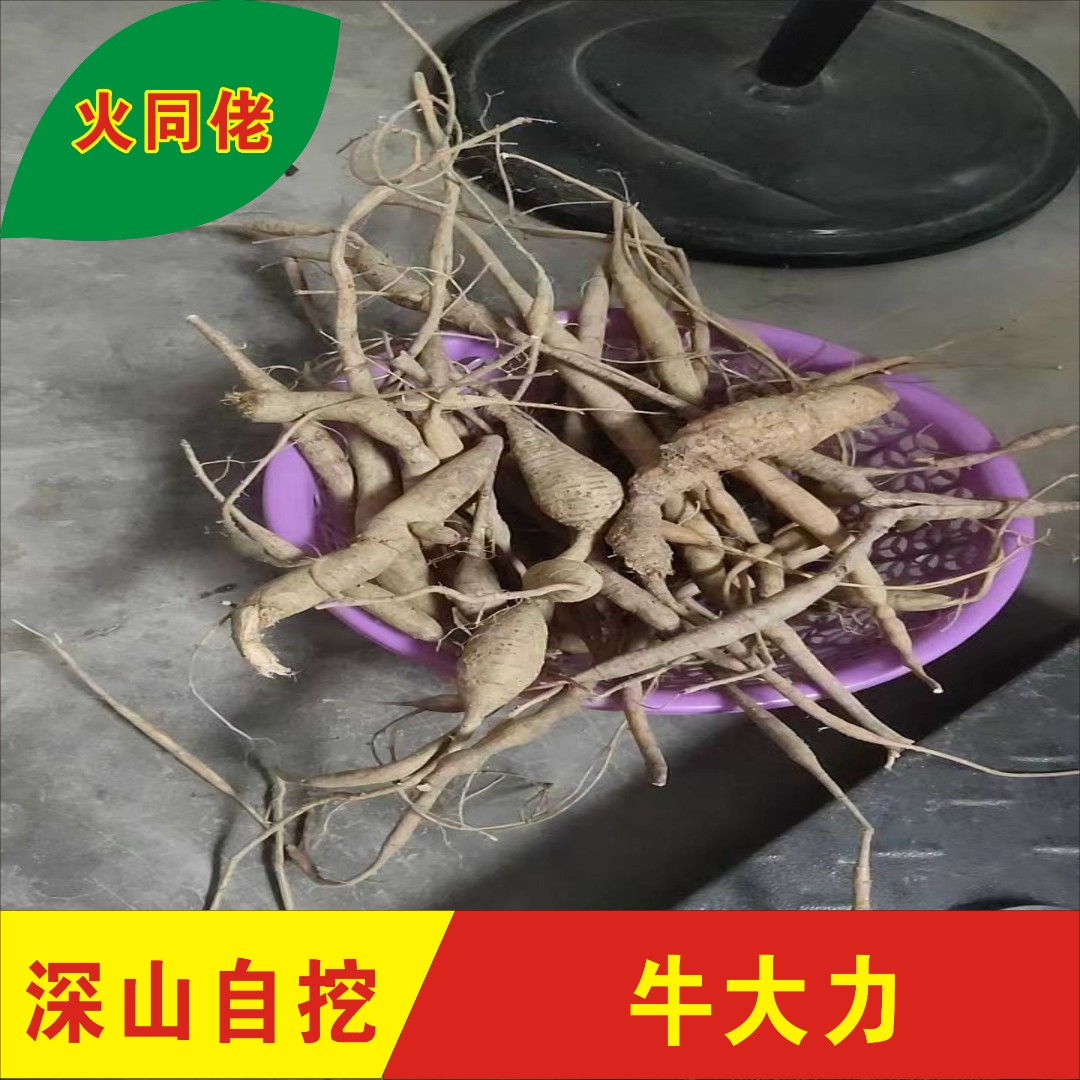 火同佬山货甘草牛大力生货500g