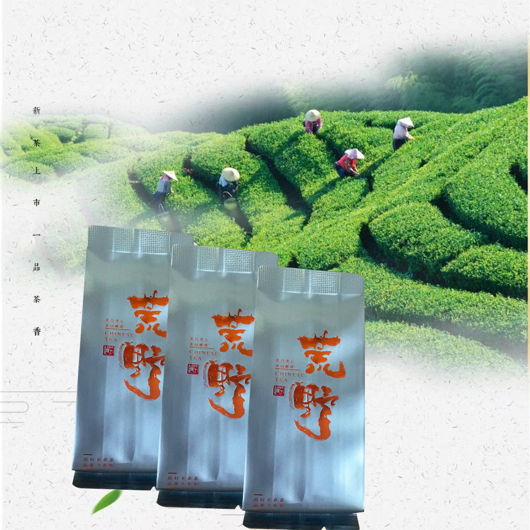福建大田野茶（红茶）品茶