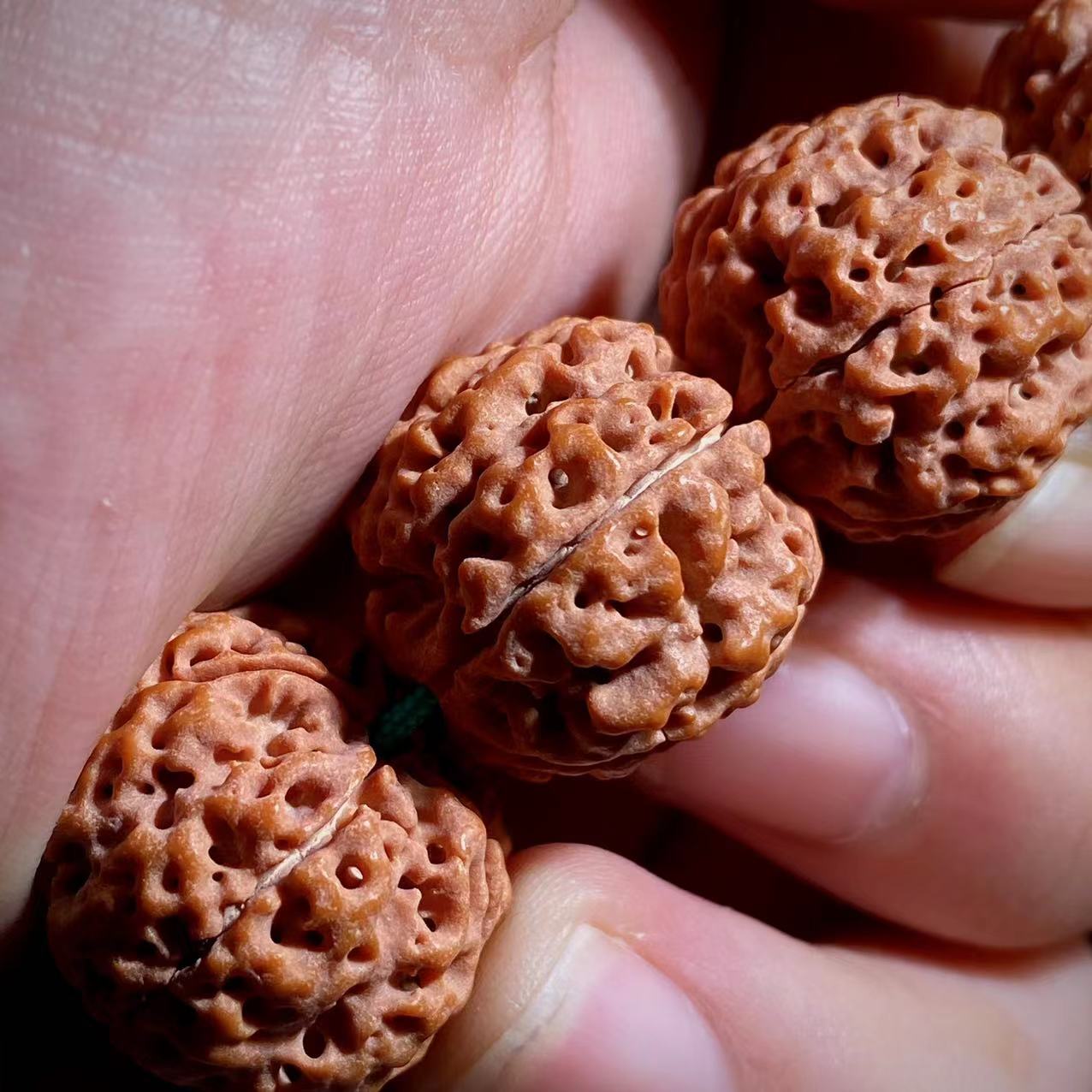 【古龙方墩】平头古龙方敦梅花金刚菩提蜂窝铁籽原皮原色定制毕业级