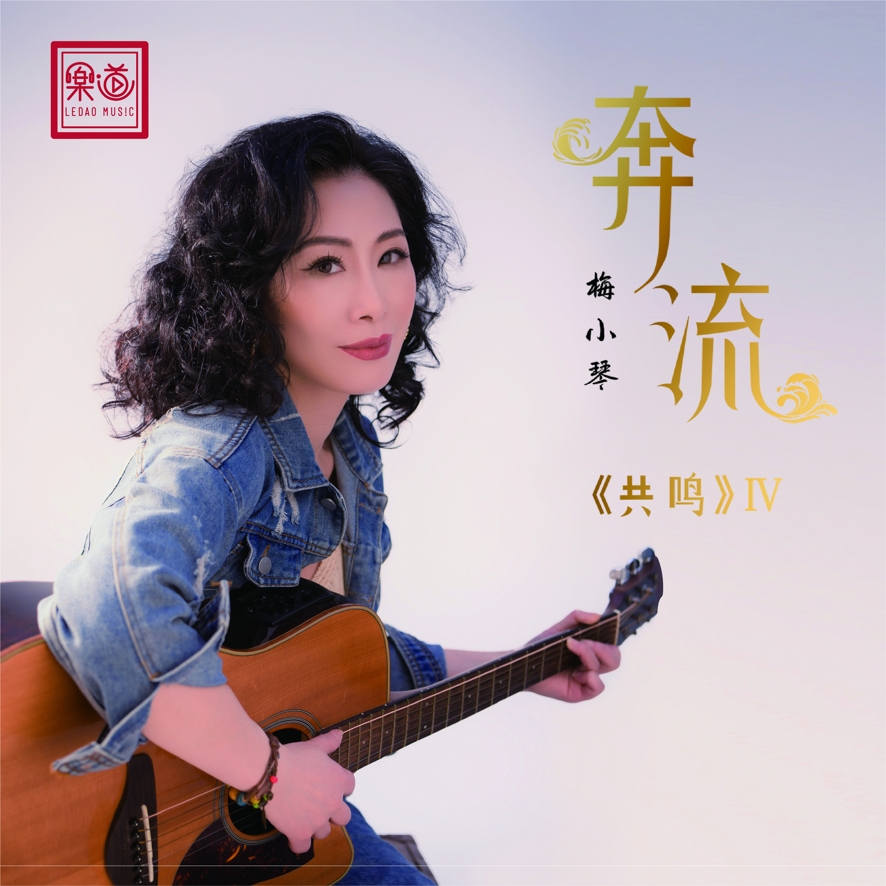 乐道梅小琴《奔流》DSD/HQ/HQII/1:1直刻/LP大黑胶 粤语唱片【共鸣4】