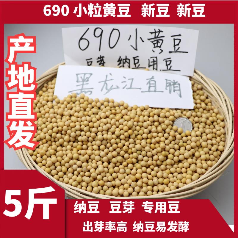 2023新粮极小粒690黄豆豆芽纳豆专用小黄金黄豆浆5斤