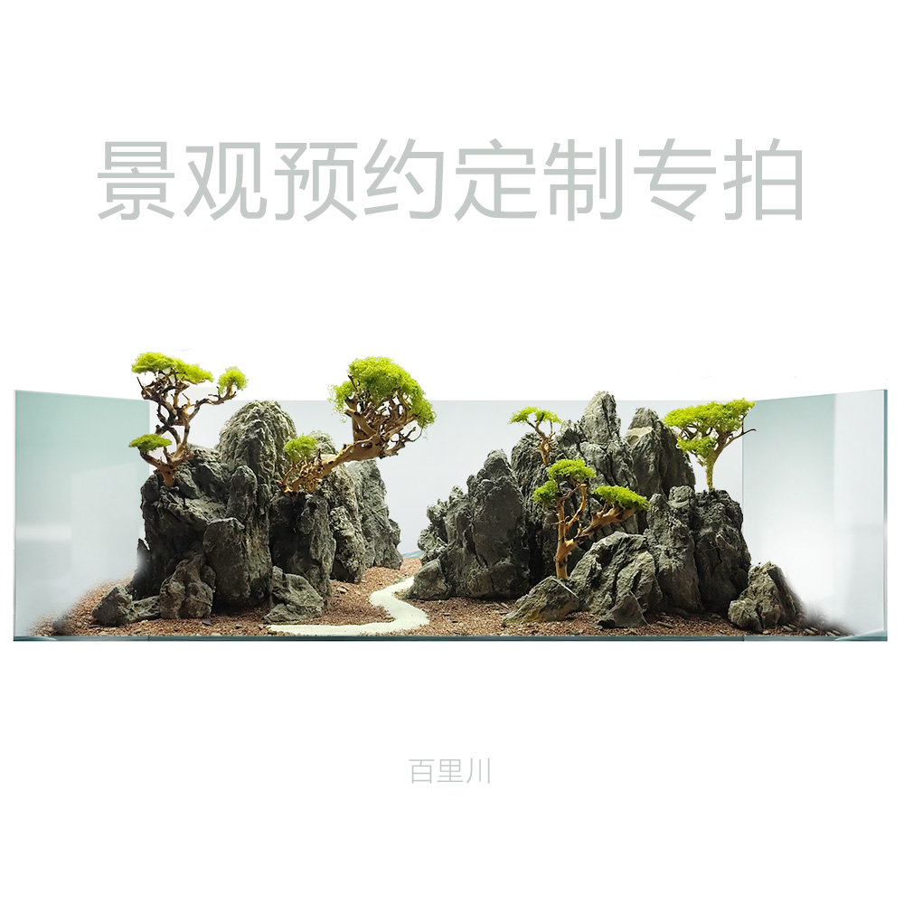 景观定制可选鱼缸养龟造景石原石鱼缸石主石天然石树石盆景石园艺