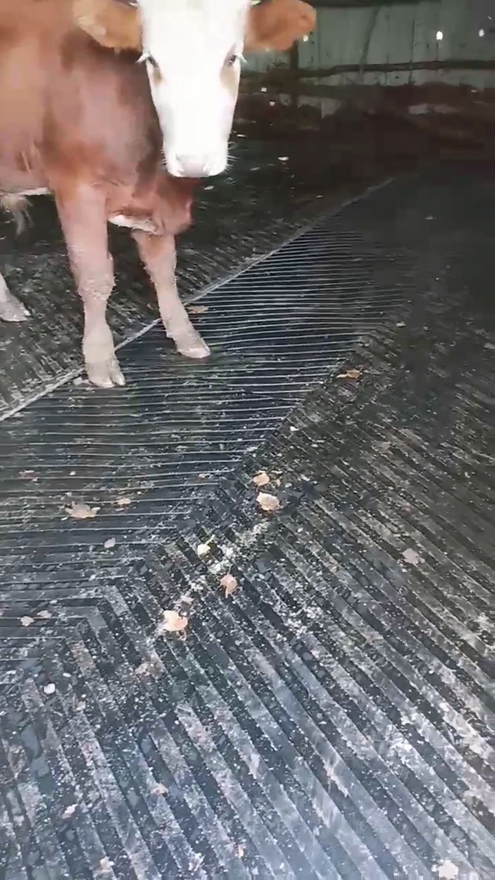 1.5米宽8毫米厚人字防滑纹输送带/米（购买5米以上包邮到县