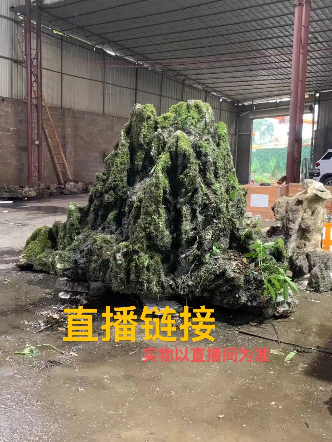 W广西龟纹 山水纹石 鱼缸造型 水旱盆造景