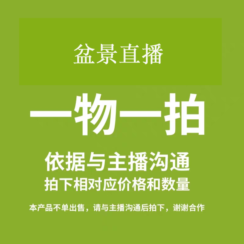 小微盆景一物一拍