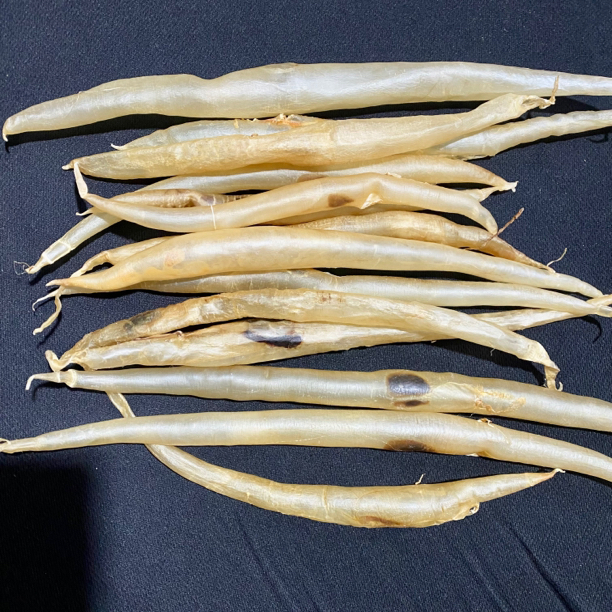 鳗鱼胶250克包邮