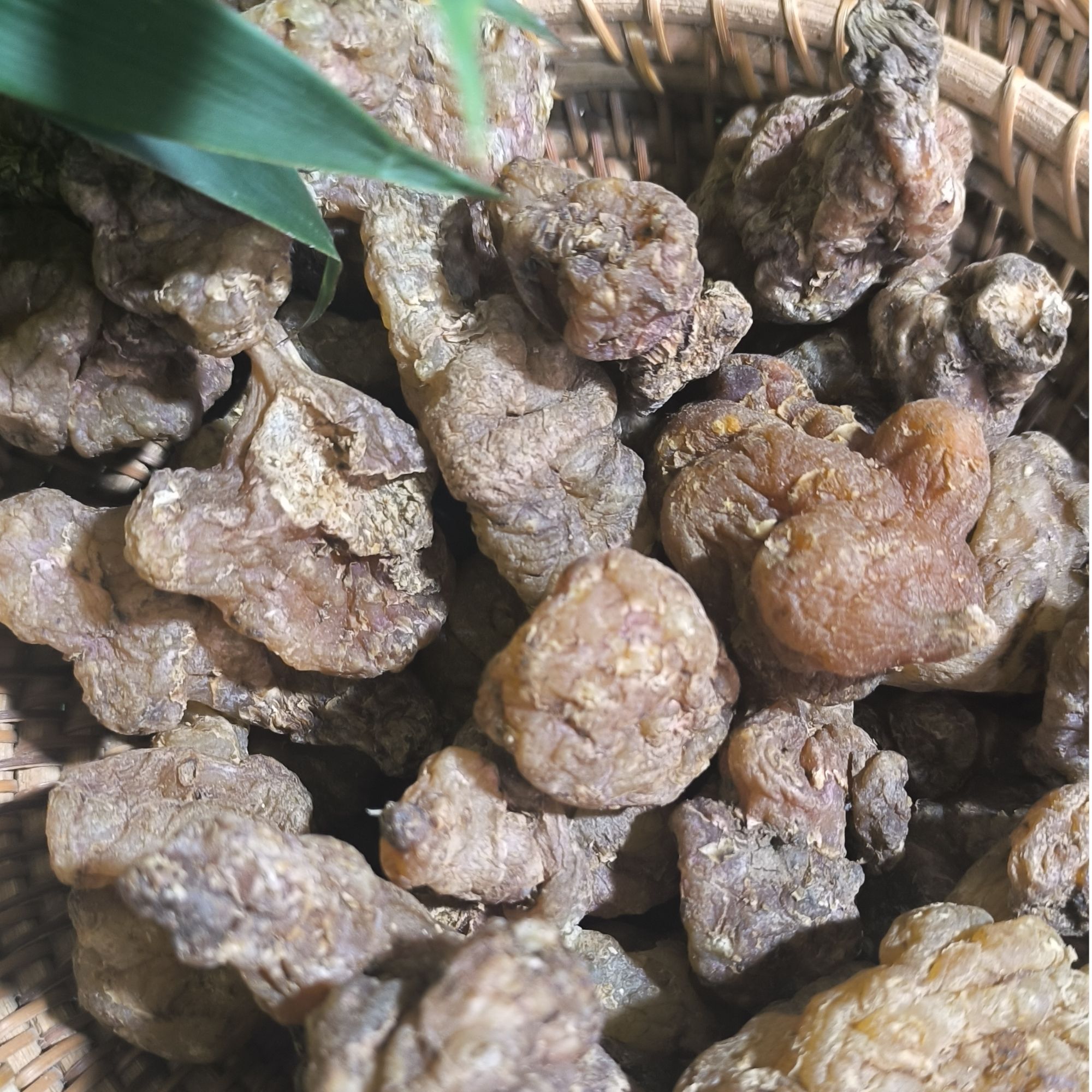2【玉-精-灵】净含量：250g-1000g【希希现收】菌