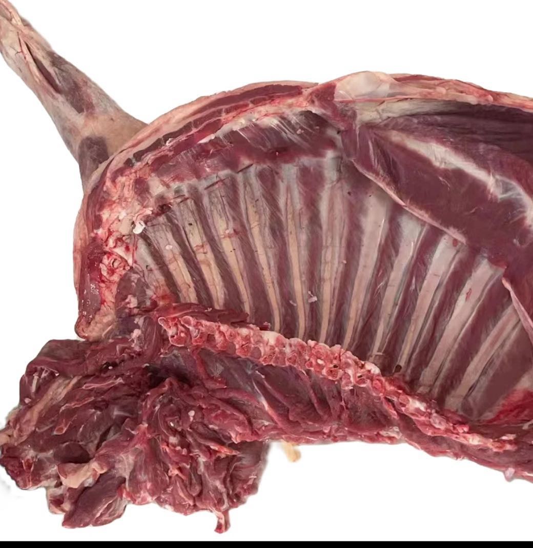 『羊前腿带排』【现场称重、现场分割、分割不退、理性消费】