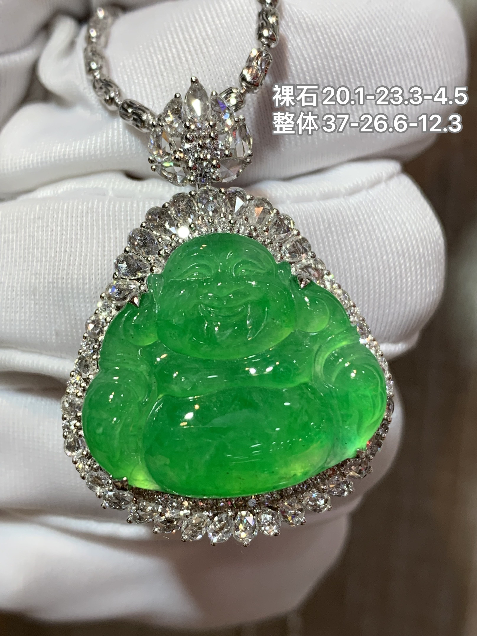 正阳绿满绿大佛公