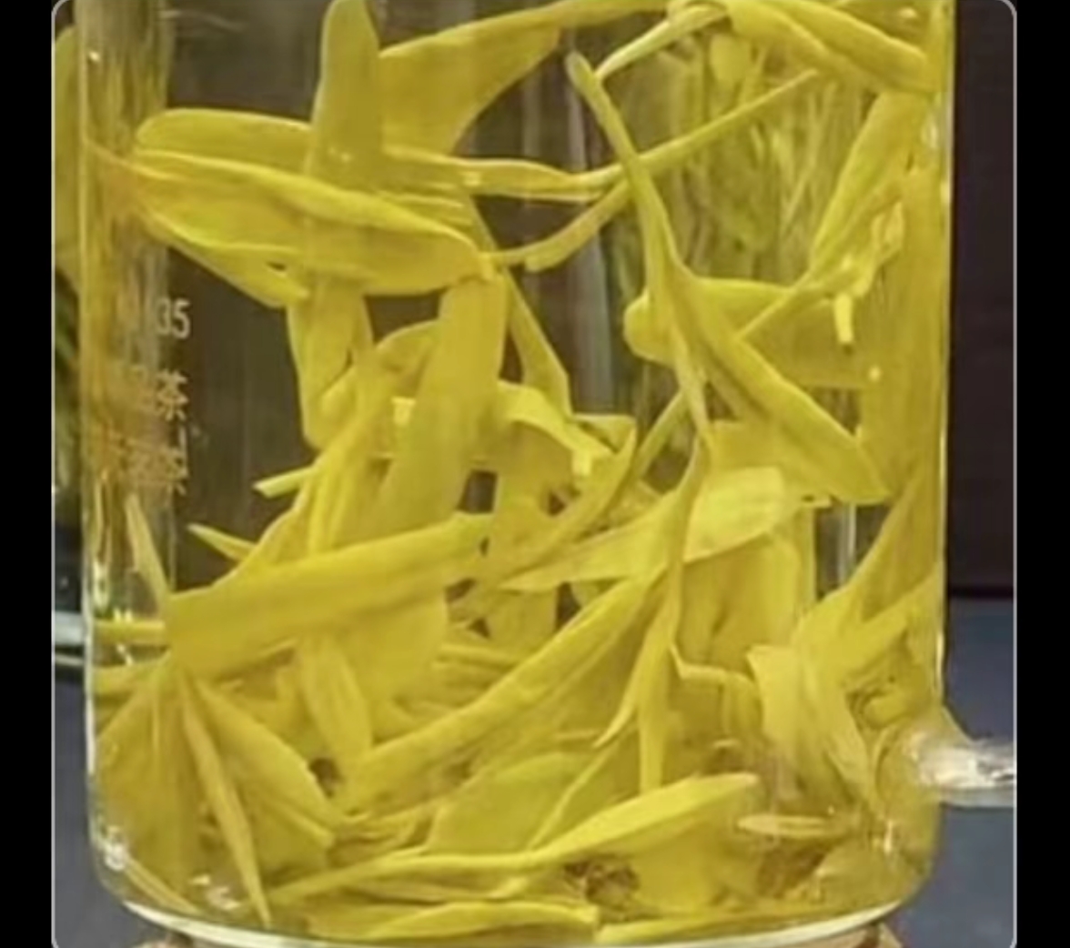 黄金芽9/0【浓香 很好喝】