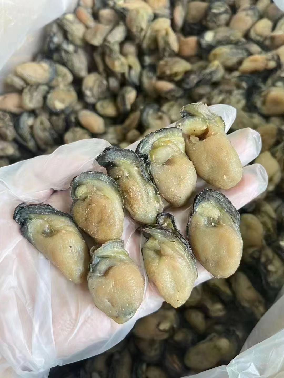生蚝干500g牡蛎干海蛎子干大号饱满无沙贝类干货煲汤淡干