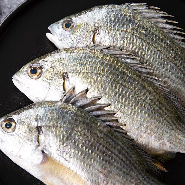 台州丽卫姐海徉新鲜黄翅鱼四斤江浙沪包邮