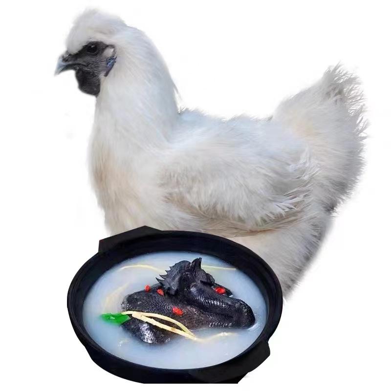 农家散养笨乌鸡（2.5斤左右）