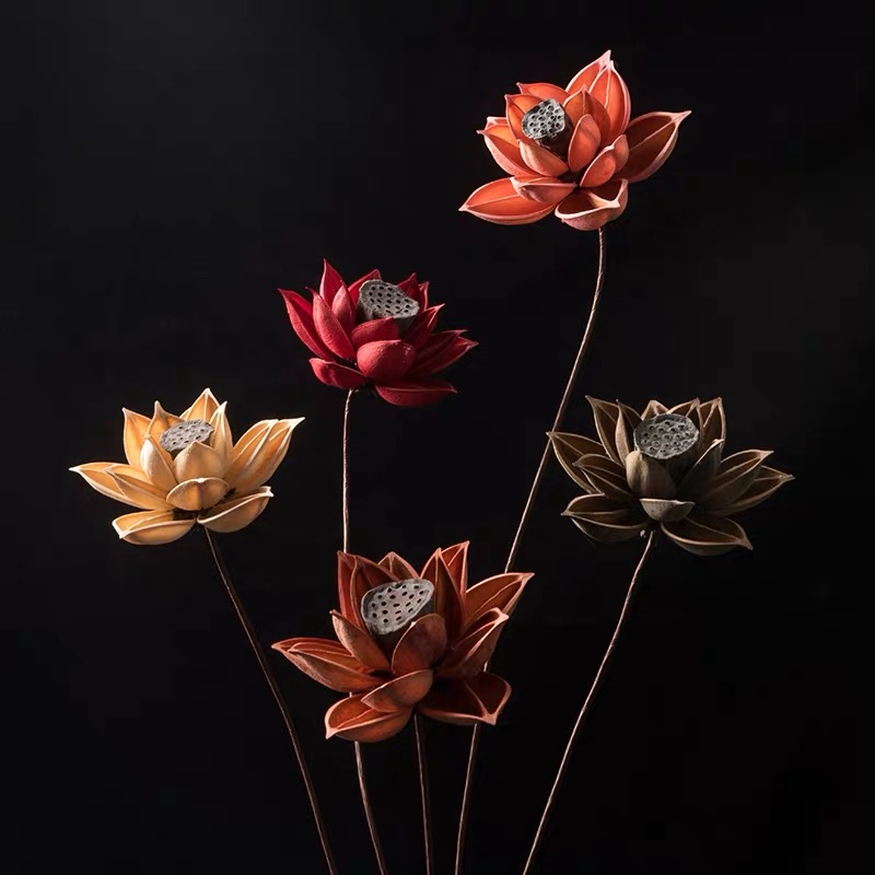 干花材料莲蓬荷花真花风干小花束装饰客厅摆设材料diy干花50包邮