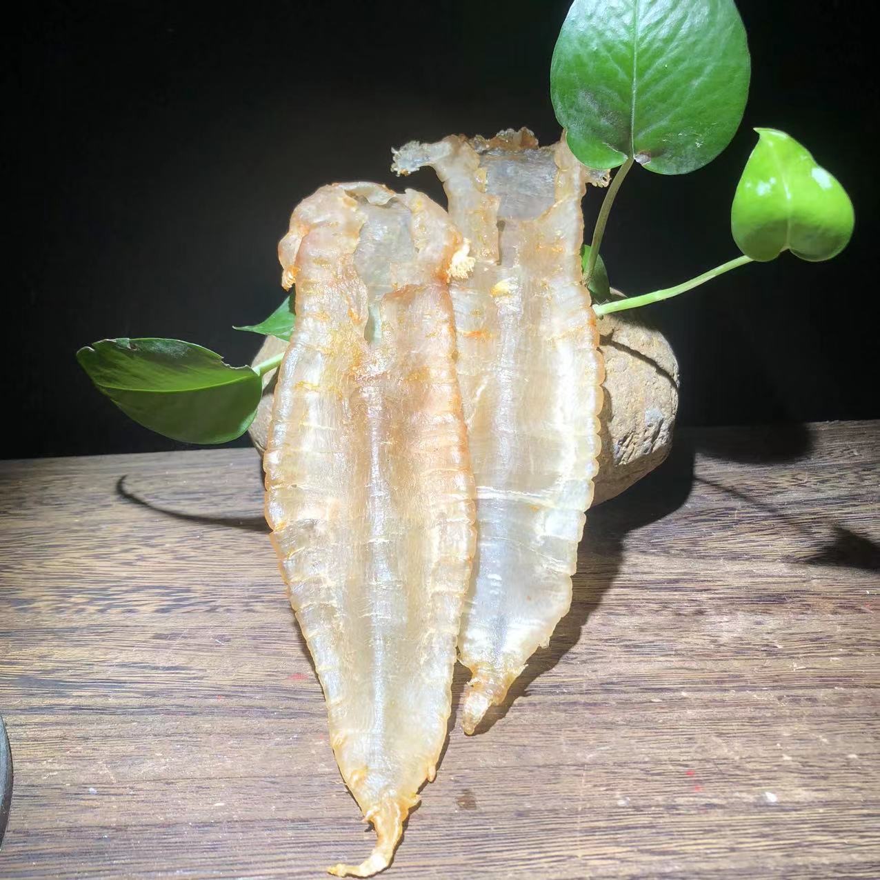 南澳老师傳赤嘴鳘鱼胶100-5000元直播临时连接