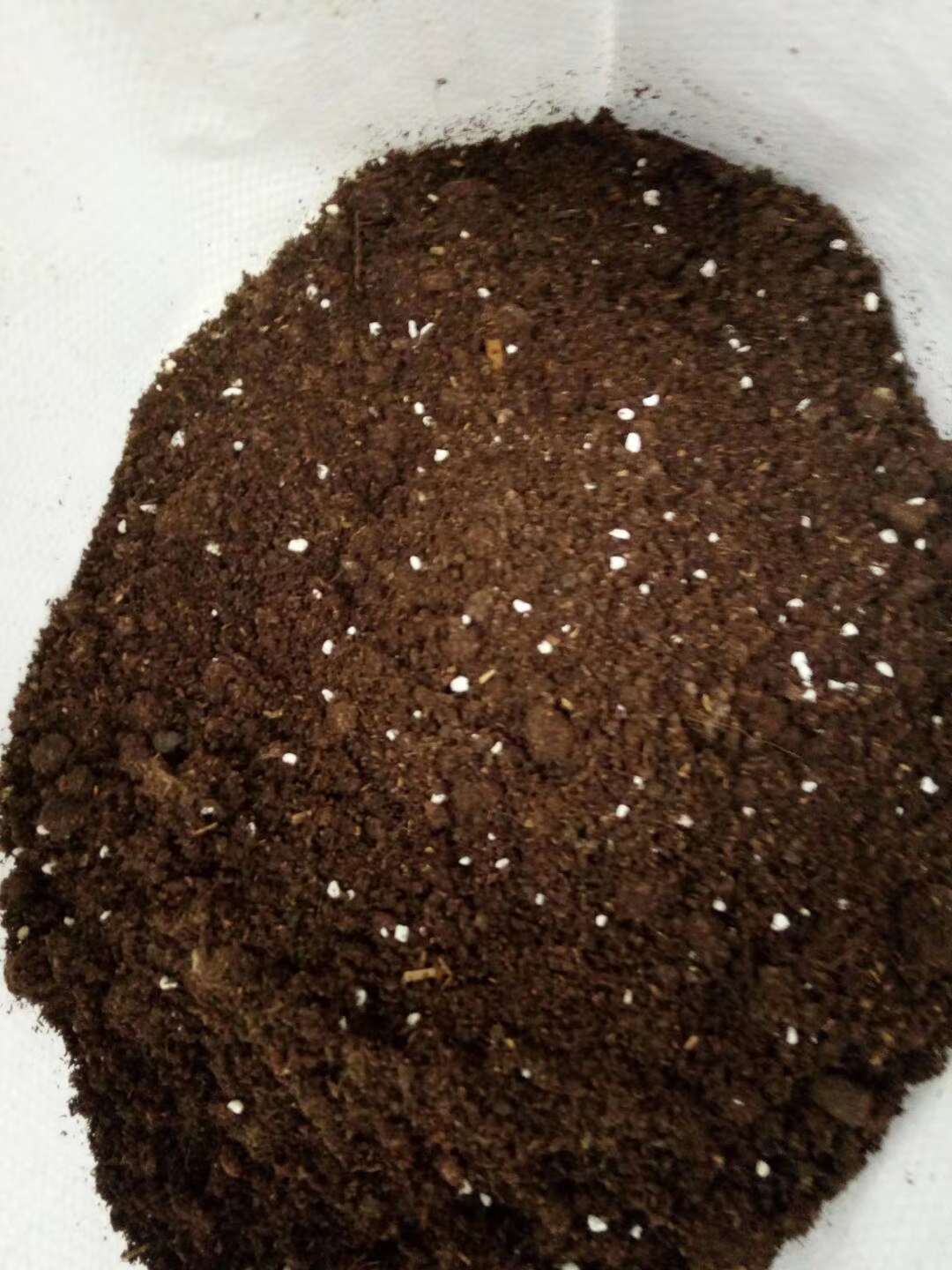 多肉植物营养土家庭园艺种菜种花透气法师专用营养土