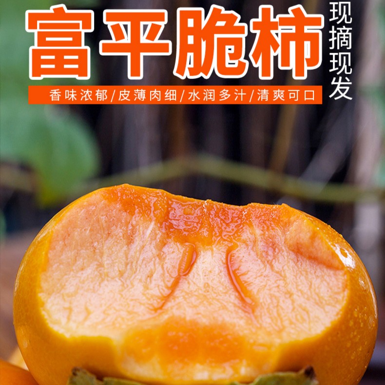 陕西富平新鲜脆甜柿子巧克力脆甜柿脆甜爽口现摘现发3/5/9斤包邮