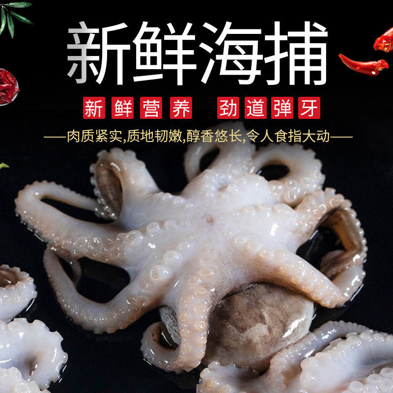 短腿八爪鱼3斤 连云港鲜活速冻发货