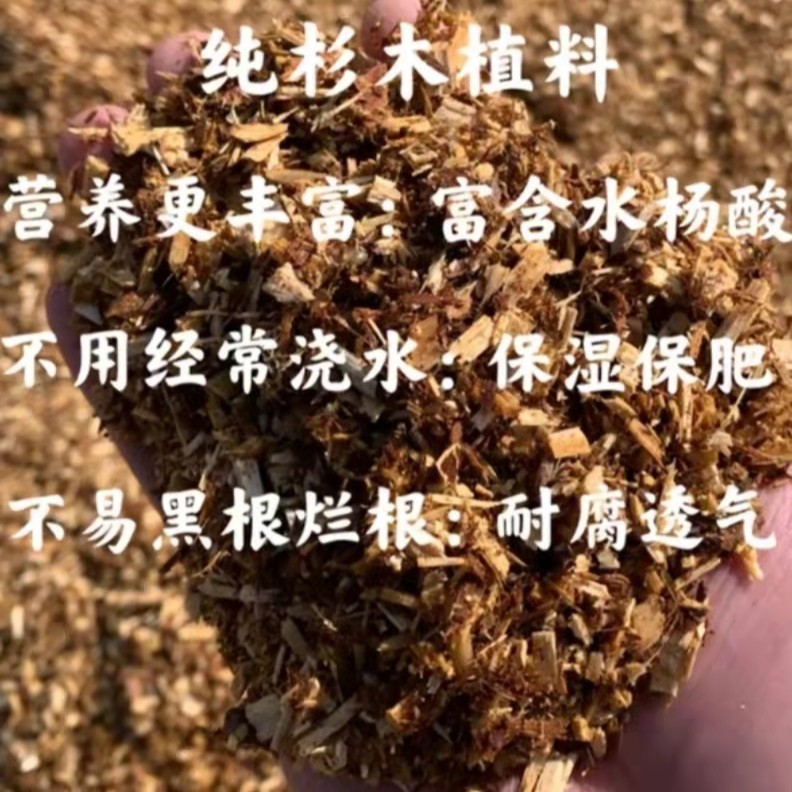 兰科植料兰花专用土