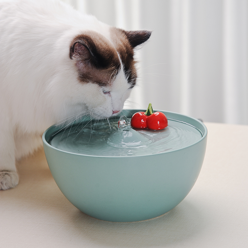 萌宠好物道商宠物饮水器宠物喝水盆猫狗陶瓷饮水机活性流水插电