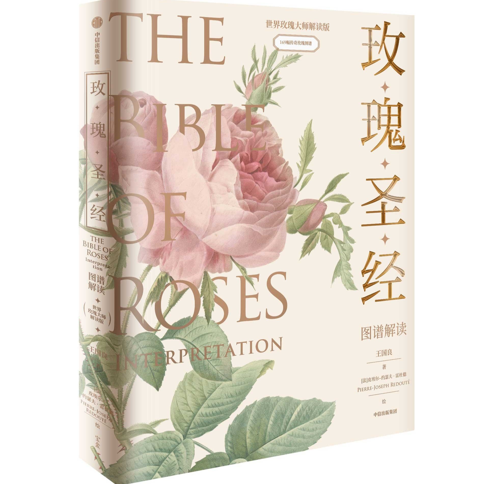 《玫瑰圣经》图谱解读 169种传奇玫瑰 博物植物科普手绘植物科学画