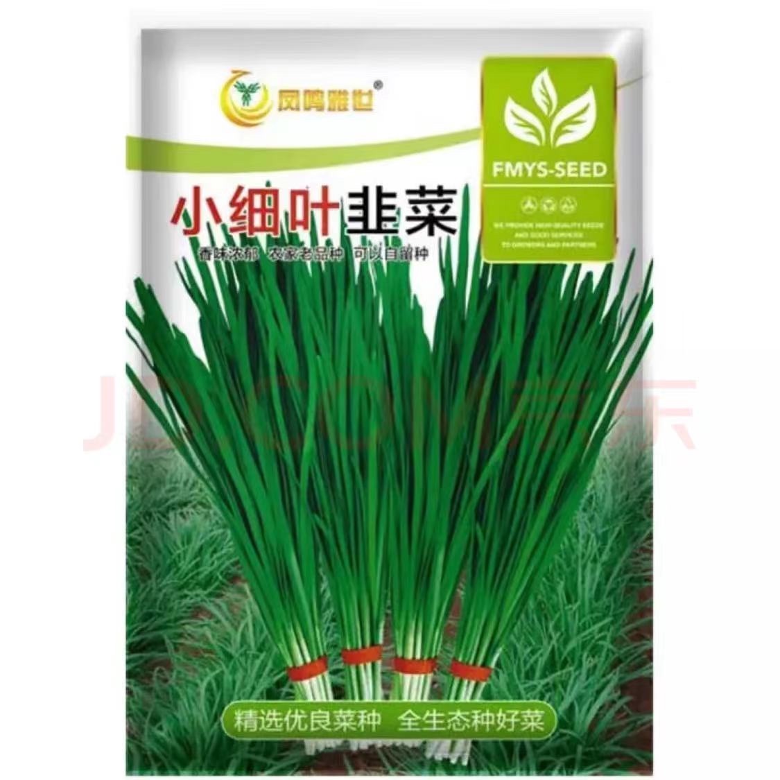 凤鸣雅世农家老品种香韭菜种籽孑韭菜籽阳台小细叶韭菜种子100克