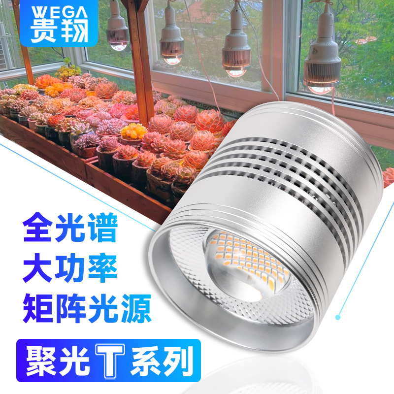 WEGA/贵翔【聚光筒灯球泡】多肉补光灯全光谱上色LED植物生长灯