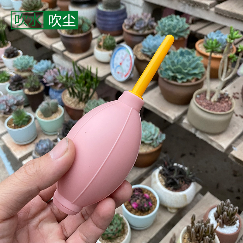 多肉吹尘球气吹皮吹清洁工具植物通用多用园艺清灰气球吹工具种植