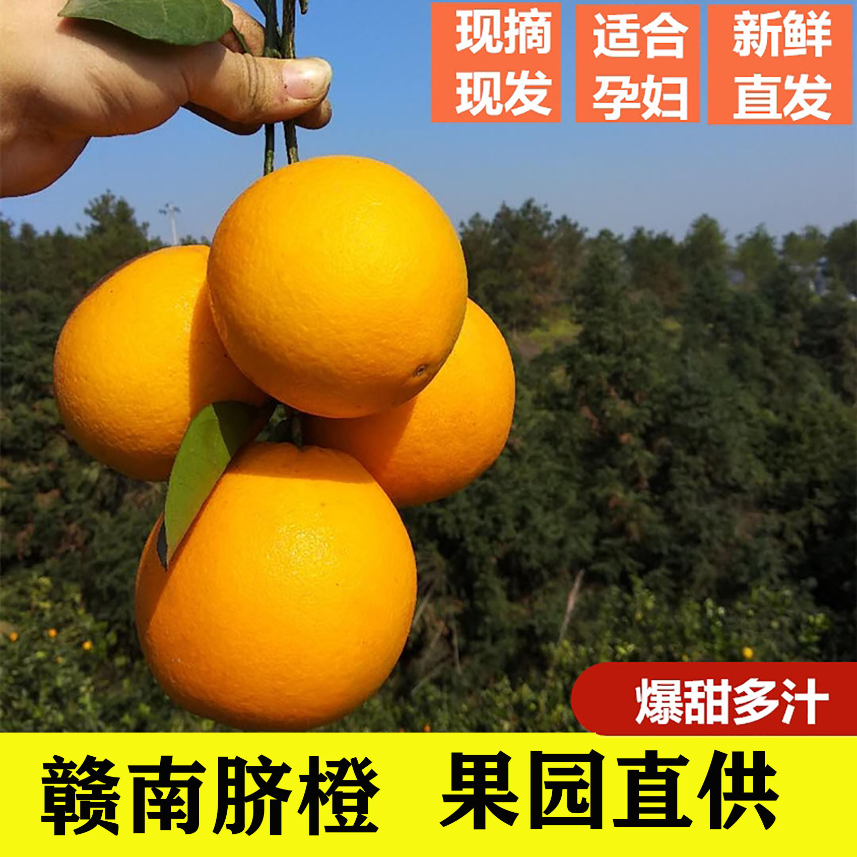【全南民哥】江西赣南脐橙橙子10斤礼盒脆嫩天然正宗赣州橙子种香甜