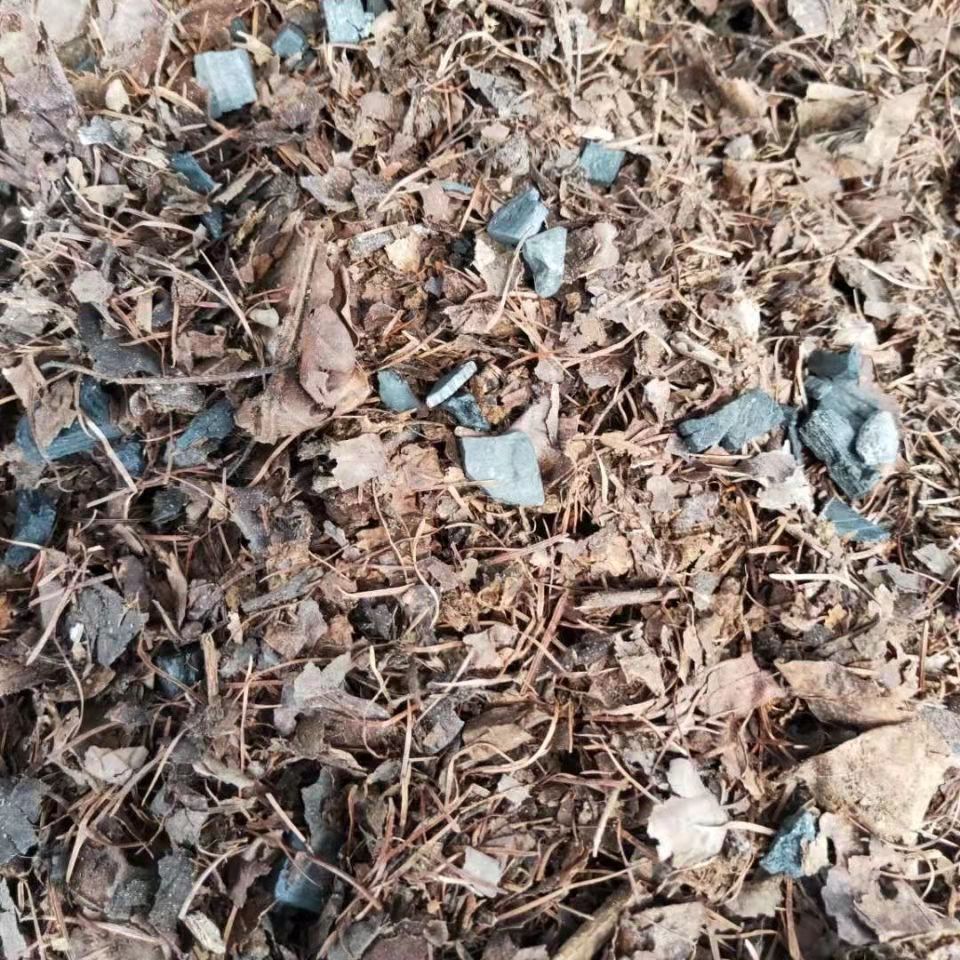 君子兰专用凤凰山橡树叶花土腐叶土一袋五斤