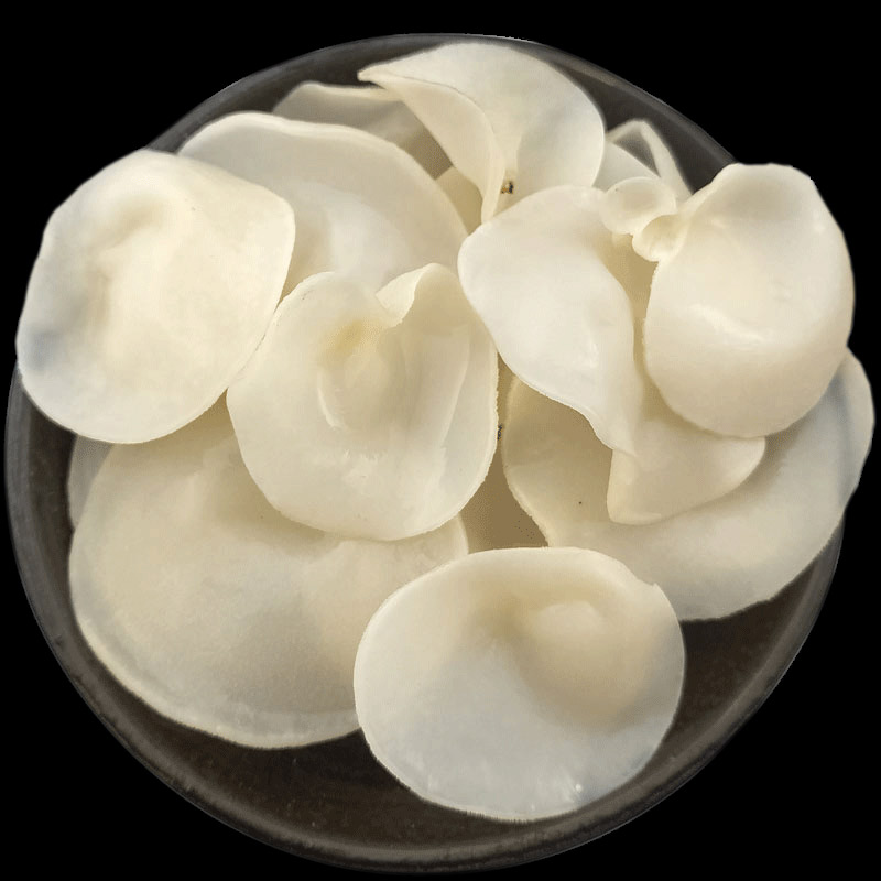 【娜小妹】白玉木耳 东北特产白木耳竹耳干货农家自产干净无根200g